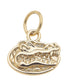 Florida Gators logo charm in 18K triple gold plated finish for bracelets and necklaces