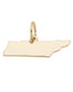 Gold Tennessee state charm for custom charm bracelets and necklaces