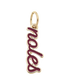 Florida State Seminoles Script Charm