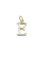 Initial Letter Charm