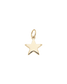 Gold Puffy Star Charm