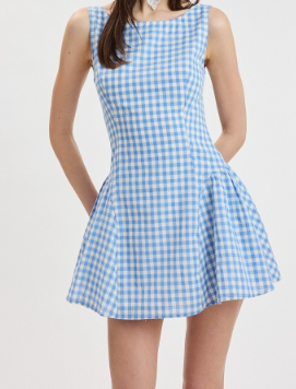 Blue Gingham Mini Dress – Sleeveless Game Day Dress