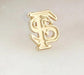 FSU Gold Stud Earrings – Florida State Seminoles Logo Jewelry | Officially Licensed